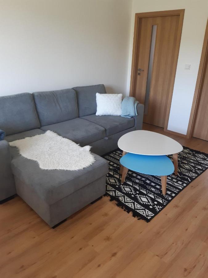 Orlicke Zahori Apartman U Kunstatskeho Mlyna מראה חיצוני תמונה