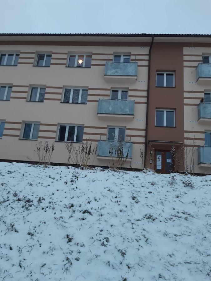 Orlicke Zahori Apartman U Kunstatskeho Mlyna מראה חיצוני תמונה